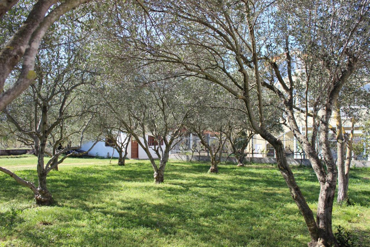 Pierre'S Place Bibinje Zewnętrze zdjęcie