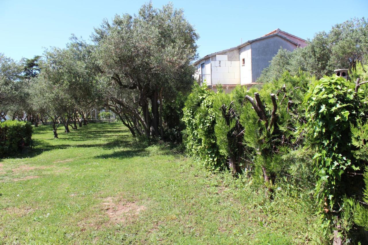 Pierre'S Place Bibinje Zewnętrze zdjęcie